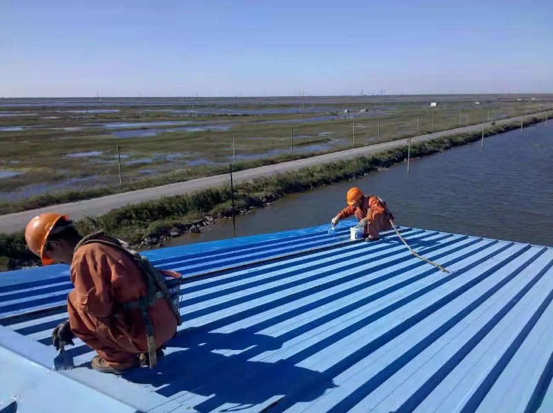 建始彩钢瓦屋面防腐翻新