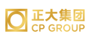 建始正大集团